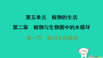 初中生物第五单元 植物的生活第二章 植物与生物圈中的水循环第一节 根对水的吸收习题课件ppt