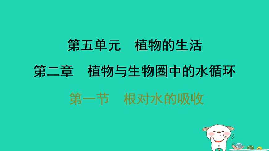 2025八年级生物上册第五单元植物的生活第二章植物与生物圈中的水循环第一节根对水的吸收习题课件冀少版（含答案）第1页