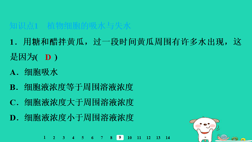 2025八年级生物上册第五单元植物的生活第二章植物与生物圈中的水循环第一节根对水的吸收习题课件冀少版（含答案）第3页