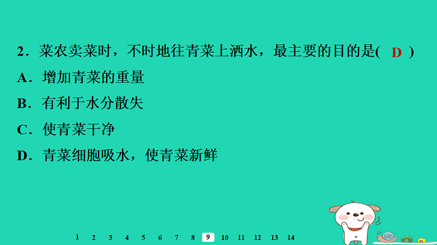 2025八年级生物上册第五单元植物的生活第二章植物与生物圈中的水循环第一节根对水的吸收习题课件冀少版（含答案）第4页