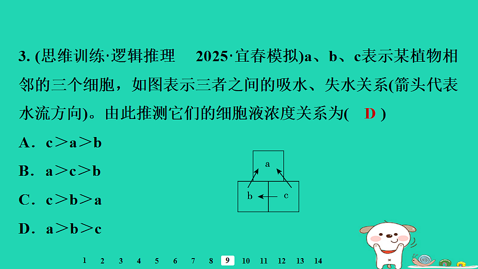 2025八年级生物上册第五单元植物的生活第二章植物与生物圈中的水循环第一节根对水的吸收习题课件冀少版（含答案）第5页