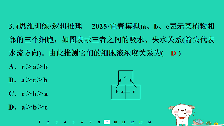2025八年级生物上册第五单元植物的生活第二章植物与生物圈中的水循环第一节根对水的吸收习题课件冀少版（含答案）第5页
