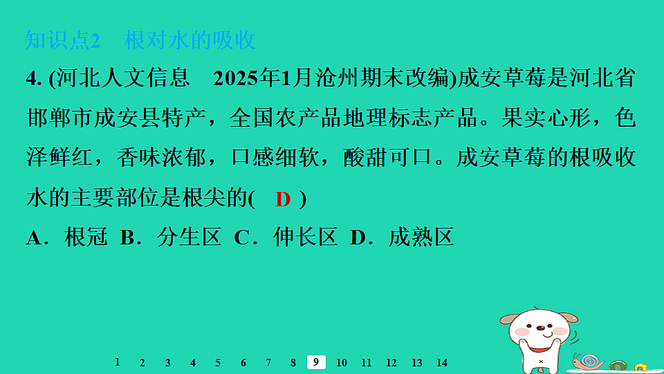 2025八年级生物上册第五单元植物的生活第二章植物与生物圈中的水循环第一节根对水的吸收习题课件冀少版（含答案）第6页
