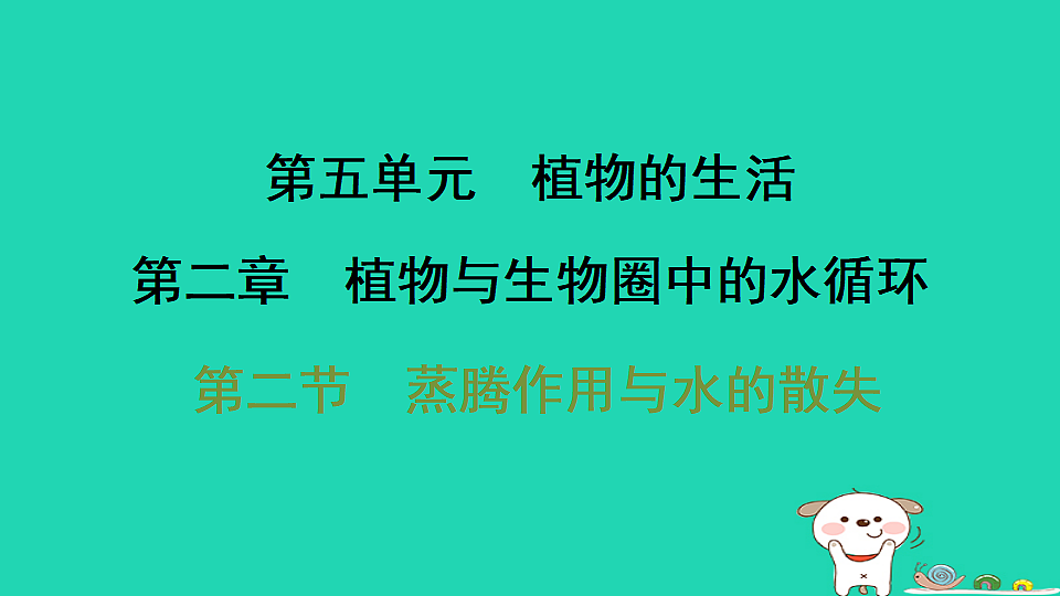 2025八年级生物上册第五单元第二章第二节蒸腾作用与水的散失习题课件冀少版（含答案）第1页