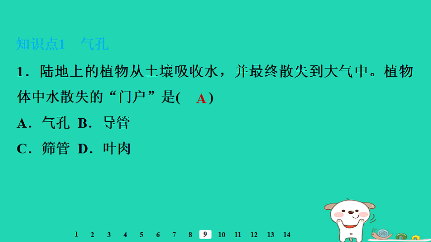 2025八年级生物上册第五单元第二章第二节蒸腾作用与水的散失习题课件冀少版（含答案）第3页