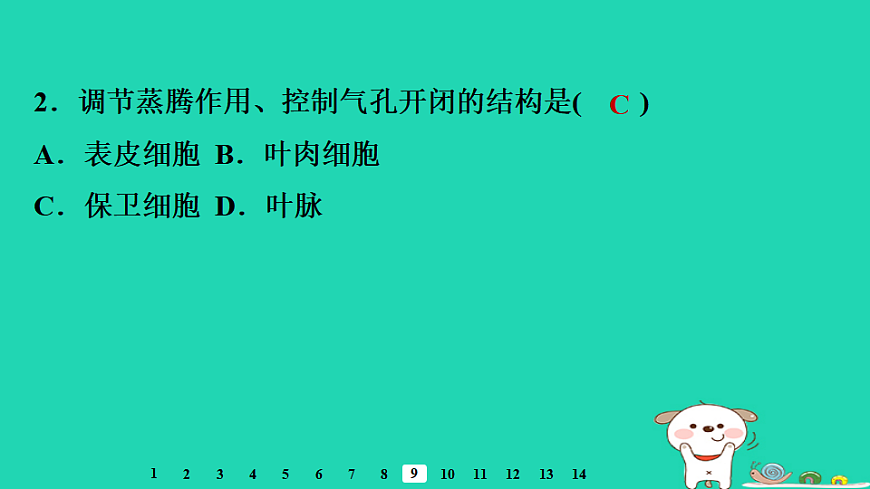 2025八年级生物上册第五单元第二章第二节蒸腾作用与水的散失习题课件冀少版（含答案）第4页
