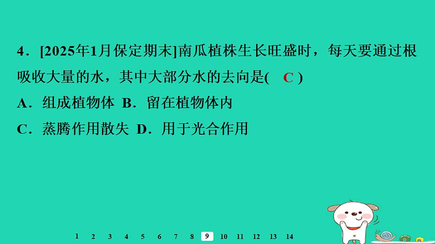 2025八年级生物上册第五单元第二章第二节蒸腾作用与水的散失习题课件冀少版（含答案）第6页