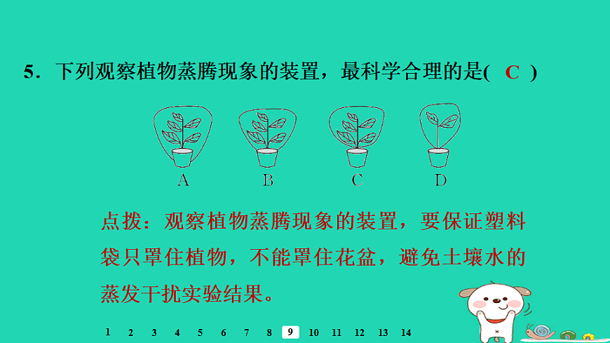 2025八年级生物上册第五单元第二章第二节蒸腾作用与水的散失习题课件冀少版（含答案）第7页
