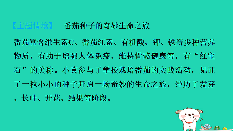 2025八年级生物上册第五单元植物的生活第三章植物与生物圈的碳氧平衡单元复习习题课件冀少版（含答案）第3页