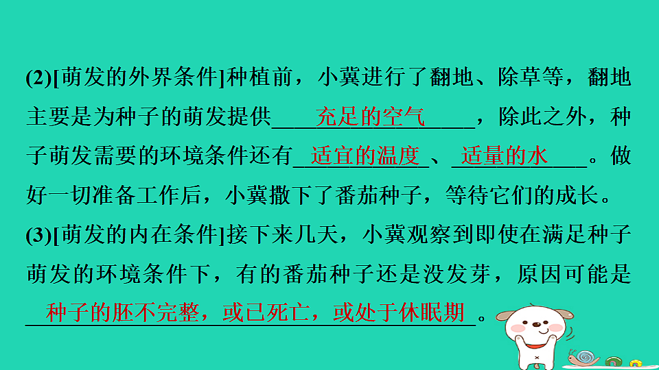 2025八年级生物上册第五单元植物的生活第三章植物与生物圈的碳氧平衡单元复习习题课件冀少版（含答案）第5页