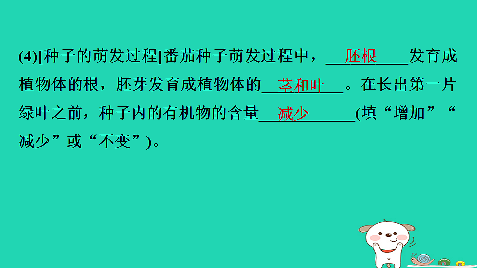 2025八年级生物上册第五单元植物的生活第三章植物与生物圈的碳氧平衡单元复习习题课件冀少版（含答案）第6页