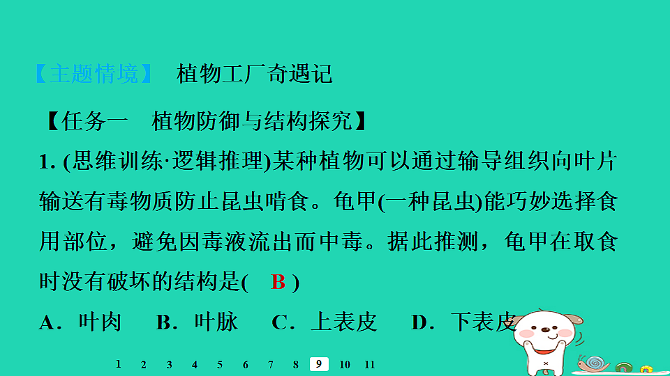 2025八年级生物上册第五单元植物的生活第三章植物与生物圈的碳氧平衡章末整合复习习题课件冀少版（含答案）第3页