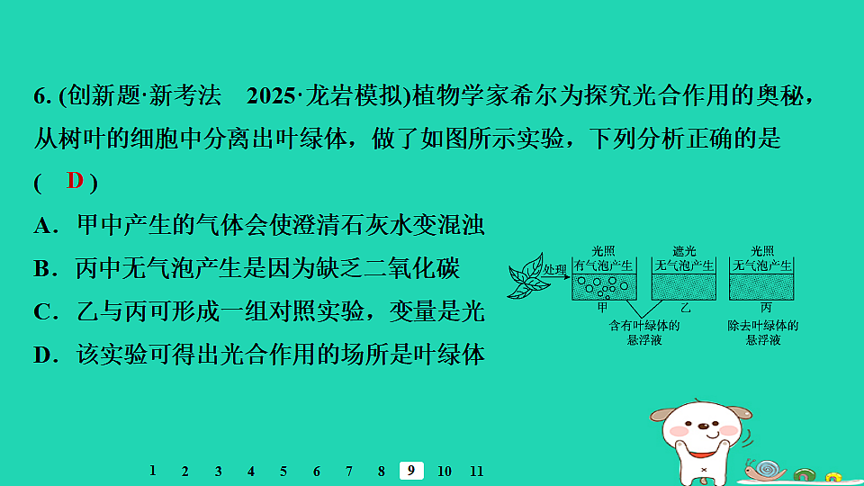 2025八年级生物上册第五单元植物的生活第三章植物与生物圈的碳氧平衡章末整合复习习题课件冀少版（含答案）第8页