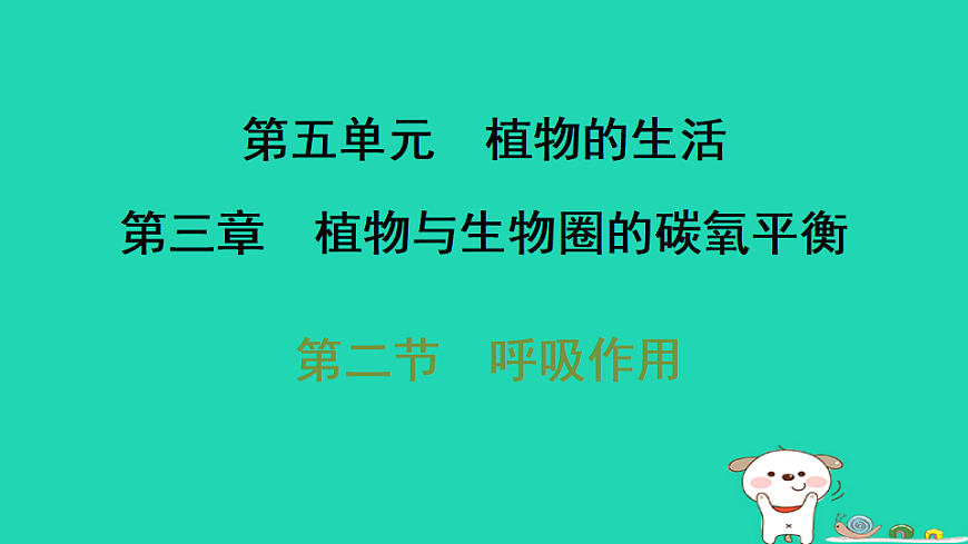 2025八年级生物上册第五单元植物的生活第三章植物与生物圈的碳氧平衡第二节呼吸作用习题课件冀少版（含答案）第1页