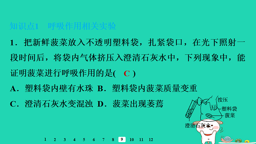 2025八年级生物上册第五单元植物的生活第三章植物与生物圈的碳氧平衡第二节呼吸作用习题课件冀少版（含答案）第3页