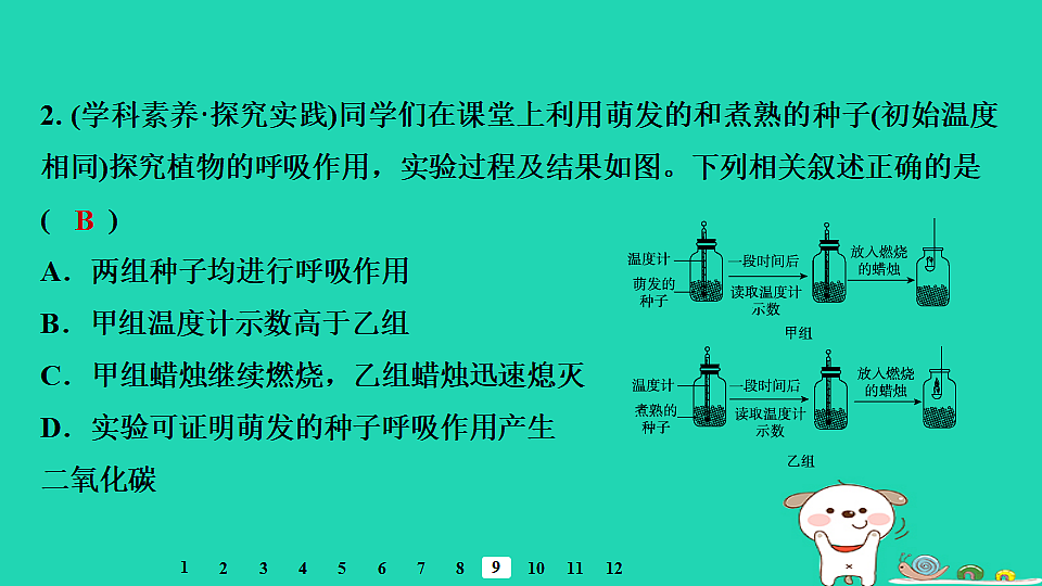 2025八年级生物上册第五单元植物的生活第三章植物与生物圈的碳氧平衡第二节呼吸作用习题课件冀少版（含答案）第4页