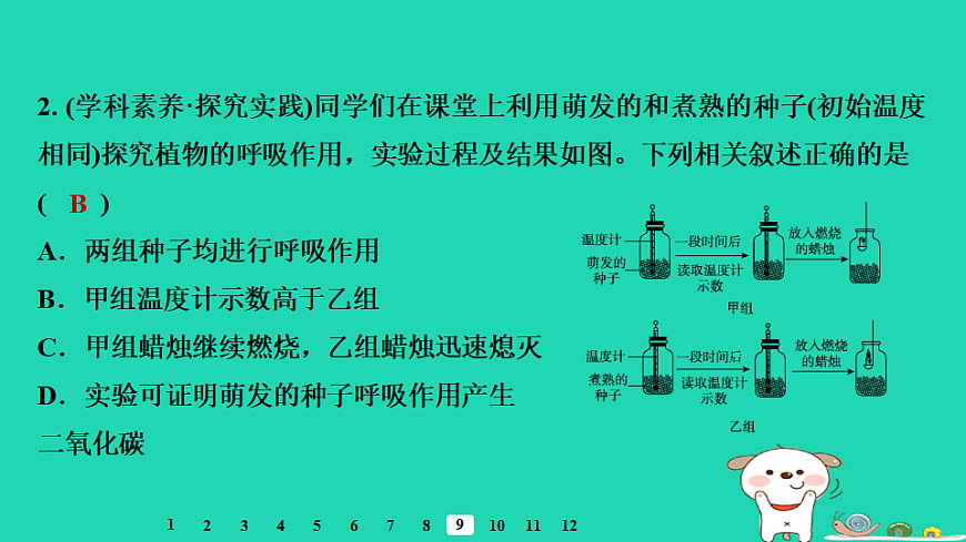 2025八年级生物上册第五单元植物的生活第三章植物与生物圈的碳氧平衡第二节呼吸作用习题课件冀少版（含答案）第4页
