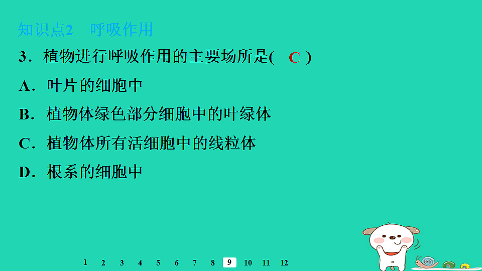 2025八年级生物上册第五单元植物的生活第三章植物与生物圈的碳氧平衡第二节呼吸作用习题课件冀少版（含答案）第5页