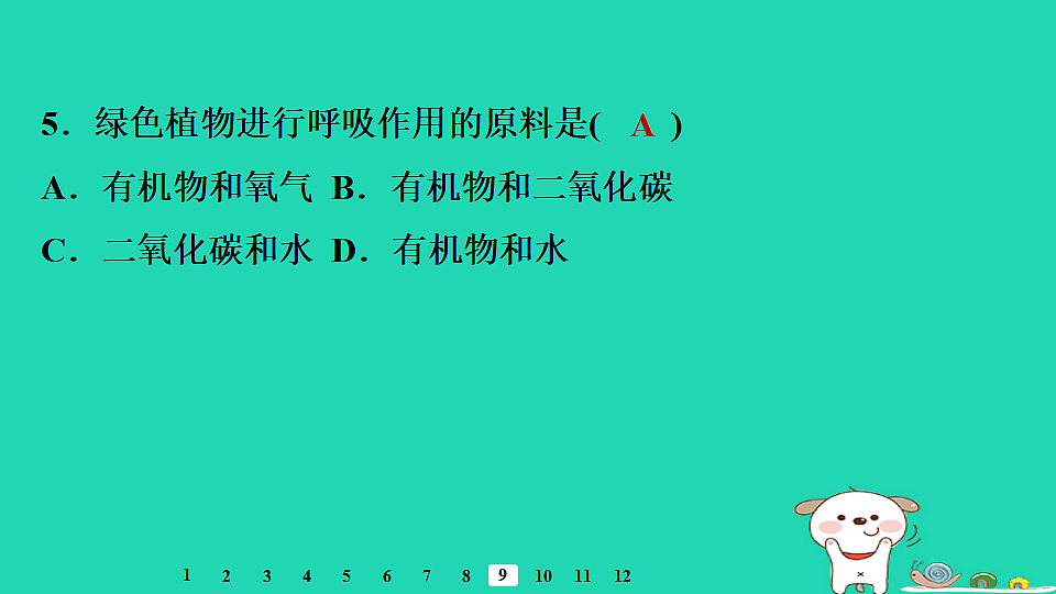 2025八年级生物上册第五单元植物的生活第三章植物与生物圈的碳氧平衡第二节呼吸作用习题课件冀少版（含答案）第7页