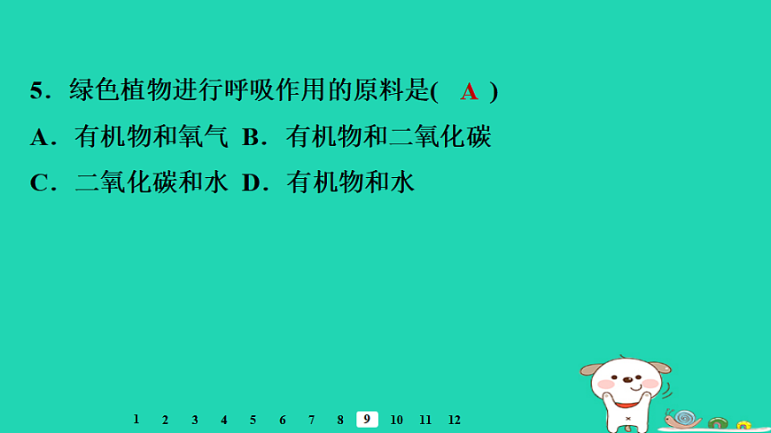 2025八年级生物上册第五单元植物的生活第三章植物与生物圈的碳氧平衡第二节呼吸作用习题课件冀少版（含答案）第7页
