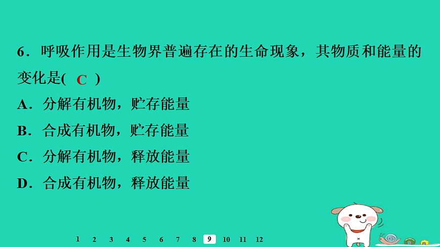 2025八年级生物上册第五单元植物的生活第三章植物与生物圈的碳氧平衡第二节呼吸作用习题课件冀少版（含答案）第8页