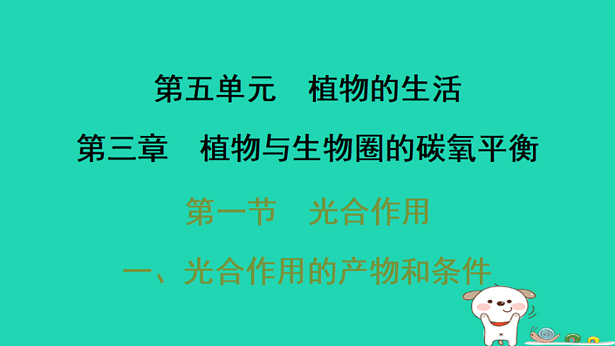 2025八年级生物上册第五单元第三章第一节光合作用一光合作用的产物和条件习题课件冀少版（含答案）第1页