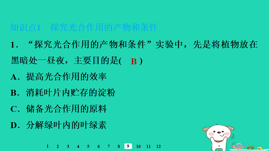 2025八年级生物上册第五单元第三章第一节光合作用一光合作用的产物和条件习题课件冀少版（含答案）第3页