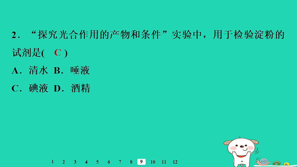 2025八年级生物上册第五单元第三章第一节光合作用一光合作用的产物和条件习题课件冀少版（含答案）第4页