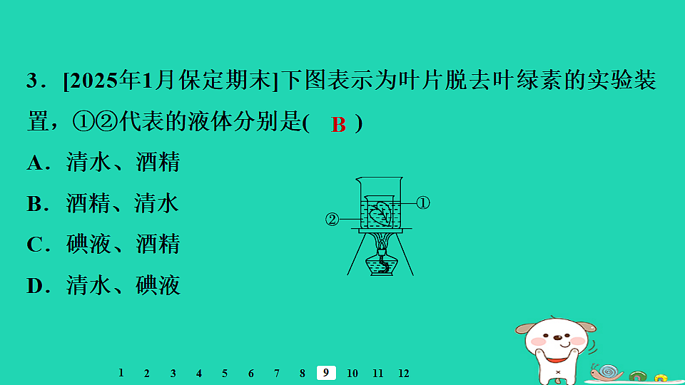 2025八年级生物上册第五单元第三章第一节光合作用一光合作用的产物和条件习题课件冀少版（含答案）第5页