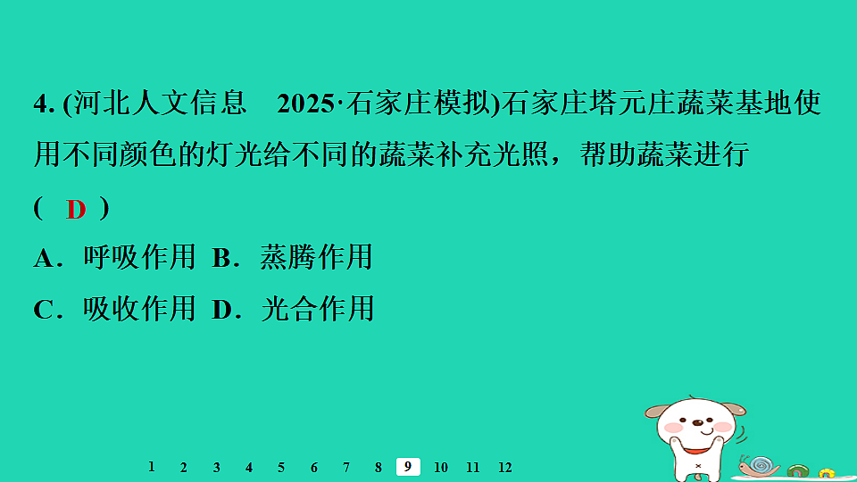 2025八年级生物上册第五单元第三章第一节光合作用一光合作用的产物和条件习题课件冀少版（含答案）第6页
