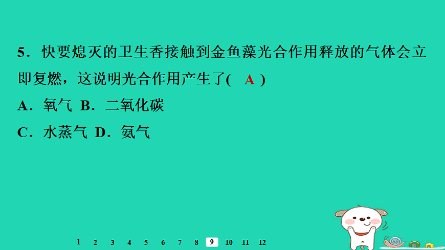 2025八年级生物上册第五单元第三章第一节光合作用一光合作用的产物和条件习题课件冀少版（含答案）第7页