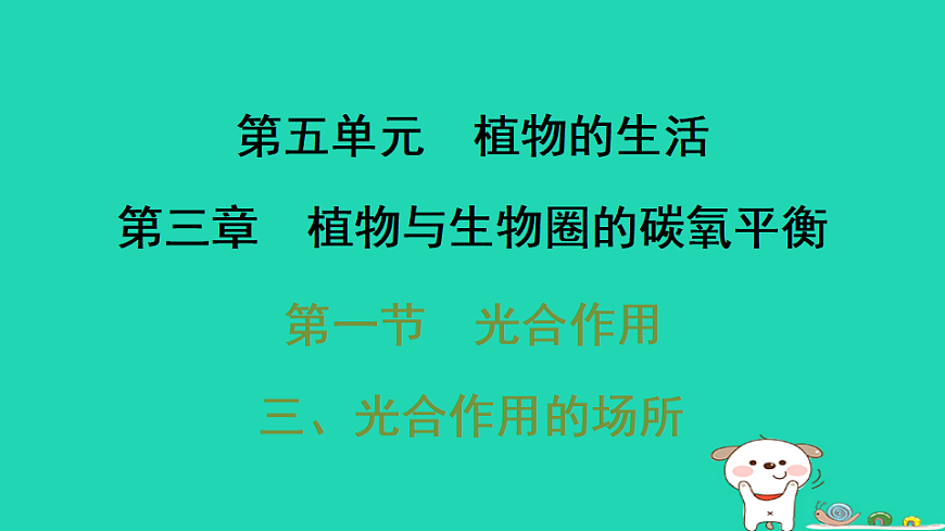 2025八年级生物上册第五单元第三章第一节光合作用三光合作用的场所习题课件冀少版（含答案）第1页