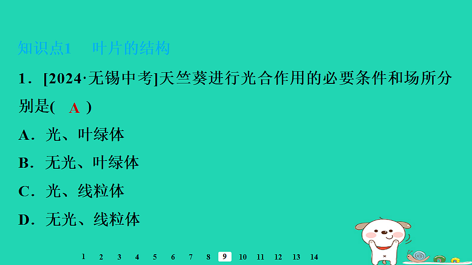 2025八年级生物上册第五单元第三章第一节光合作用三光合作用的场所习题课件冀少版（含答案）第3页
