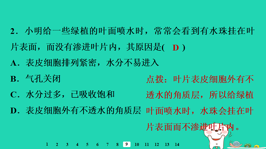 2025八年级生物上册第五单元第三章第一节光合作用三光合作用的场所习题课件冀少版（含答案）第4页
