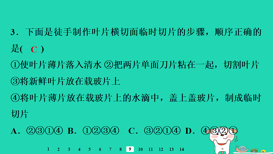 2025八年级生物上册第五单元第三章第一节光合作用三光合作用的场所习题课件冀少版（含答案）第5页