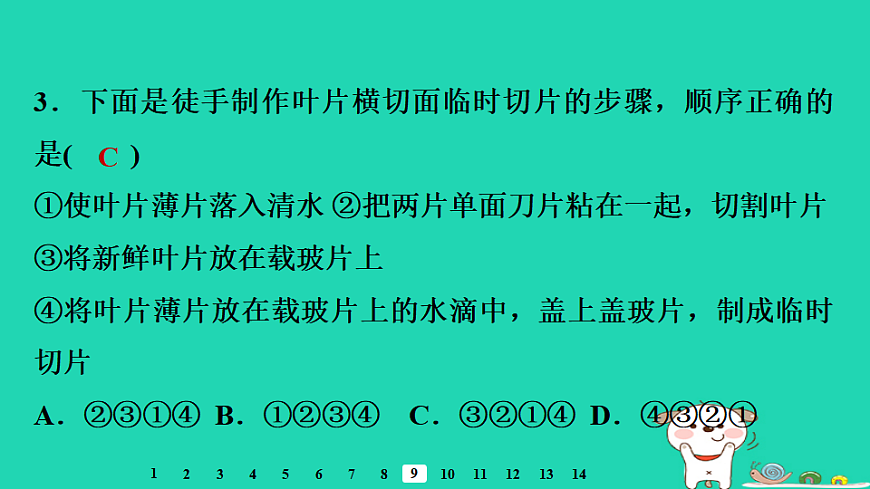 2025八年级生物上册第五单元第三章第一节光合作用三光合作用的场所习题课件冀少版（含答案）第5页