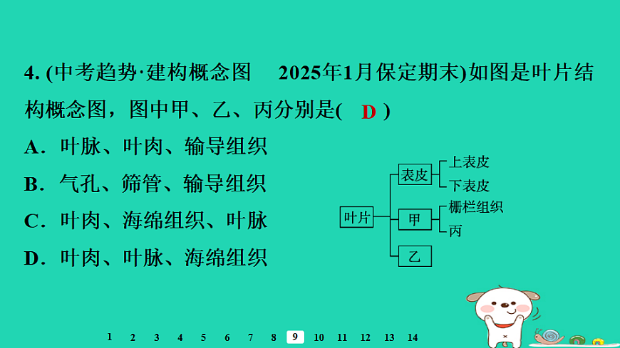 2025八年级生物上册第五单元第三章第一节光合作用三光合作用的场所习题课件冀少版（含答案）第6页