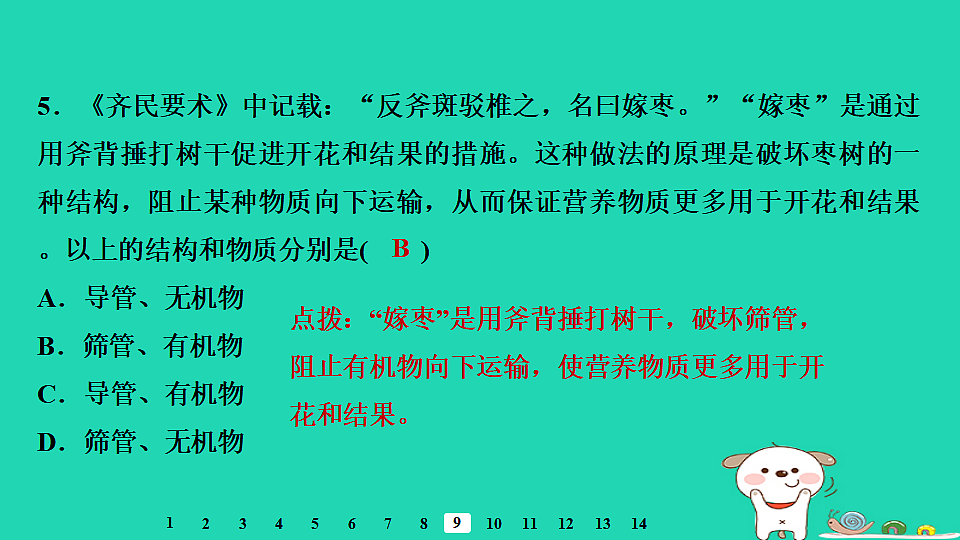 2025八年级生物上册第五单元第三章第一节光合作用三光合作用的场所习题课件冀少版（含答案）第7页
