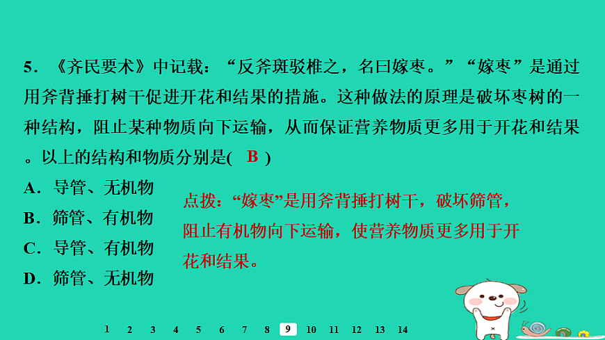 2025八年级生物上册第五单元第三章第一节光合作用三光合作用的场所习题课件冀少版（含答案）第7页