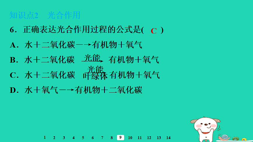 2025八年级生物上册第五单元第三章第一节光合作用三光合作用的场所习题课件冀少版（含答案）第8页