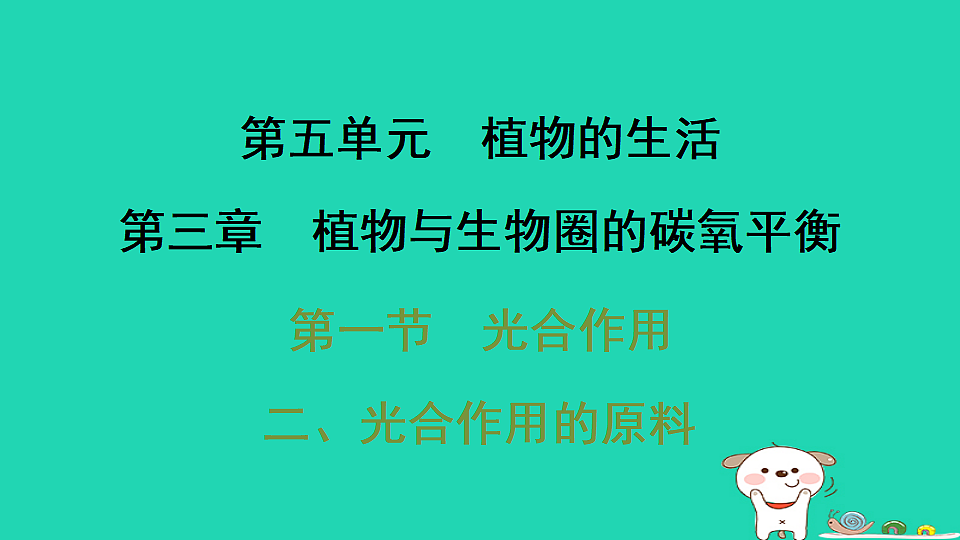 2025八年级生物上册第五单元第三章第一节光合作用二光合作用的原料习题课件冀少版（含答案）第1页