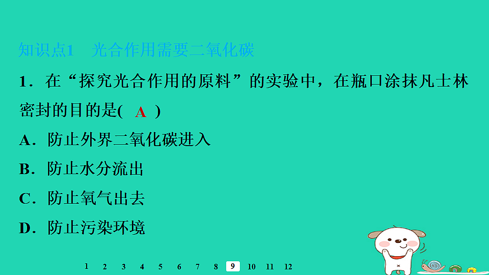 2025八年级生物上册第五单元第三章第一节光合作用二光合作用的原料习题课件冀少版（含答案）第3页