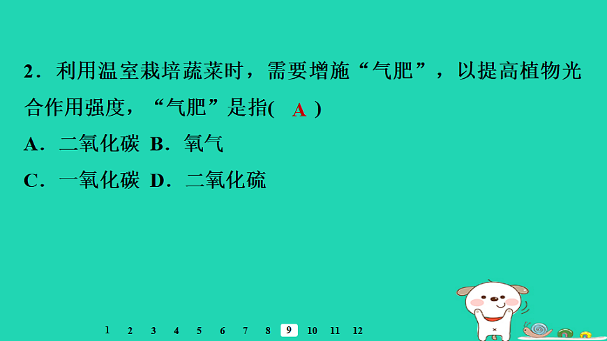 2025八年级生物上册第五单元第三章第一节光合作用二光合作用的原料习题课件冀少版（含答案）第4页