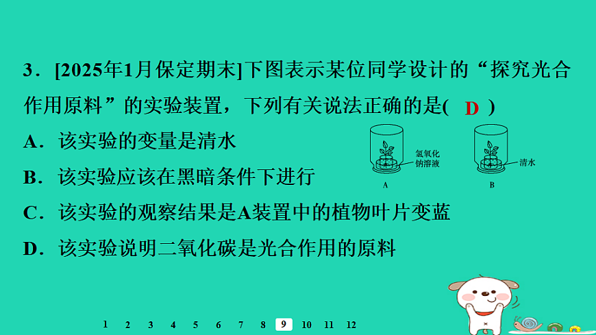 2025八年级生物上册第五单元第三章第一节光合作用二光合作用的原料习题课件冀少版（含答案）第5页