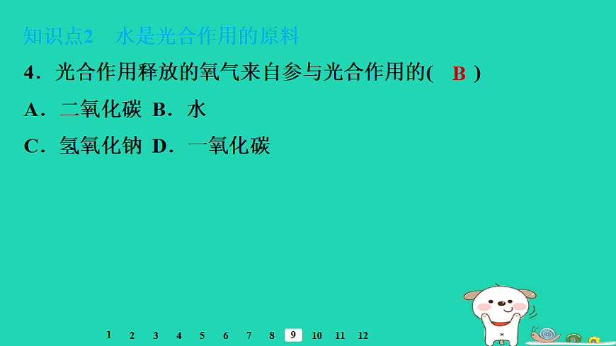 2025八年级生物上册第五单元第三章第一节光合作用二光合作用的原料习题课件冀少版（含答案）第6页