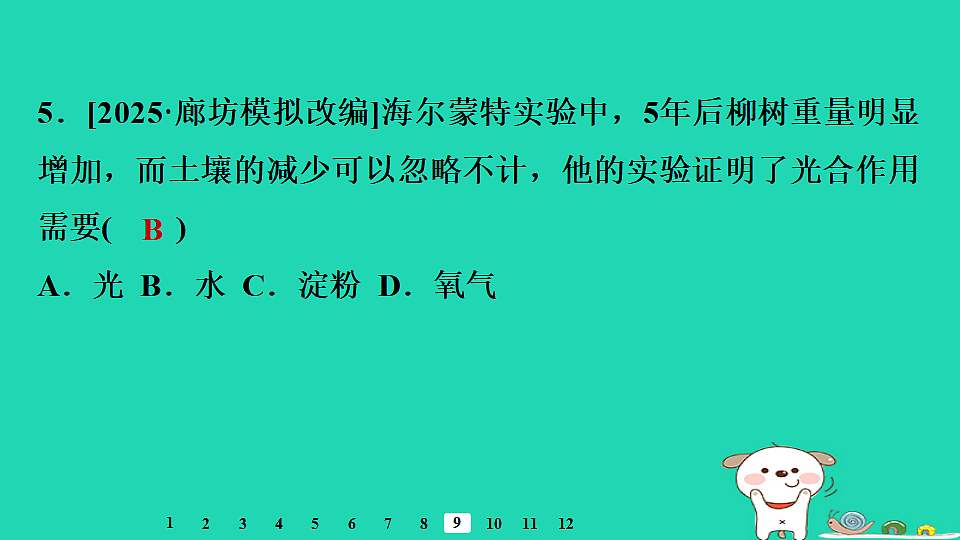 2025八年级生物上册第五单元第三章第一节光合作用二光合作用的原料习题课件冀少版（含答案）第7页