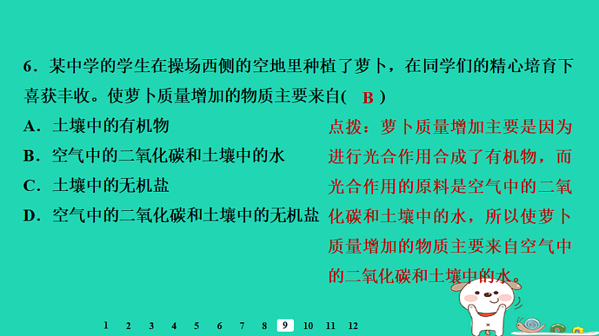2025八年级生物上册第五单元第三章第一节光合作用二光合作用的原料习题课件冀少版（含答案）第8页