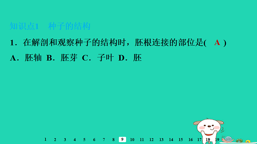 2025八年级生物上册第五单元第一章第一节种子的萌发一种子的结构习题课件冀少版（含答案）第3页