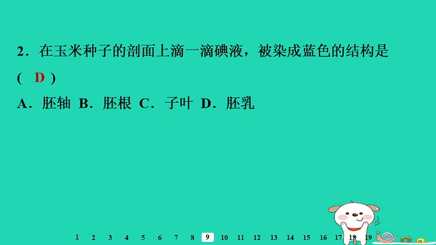 2025八年级生物上册第五单元第一章第一节种子的萌发一种子的结构习题课件冀少版（含答案）第4页