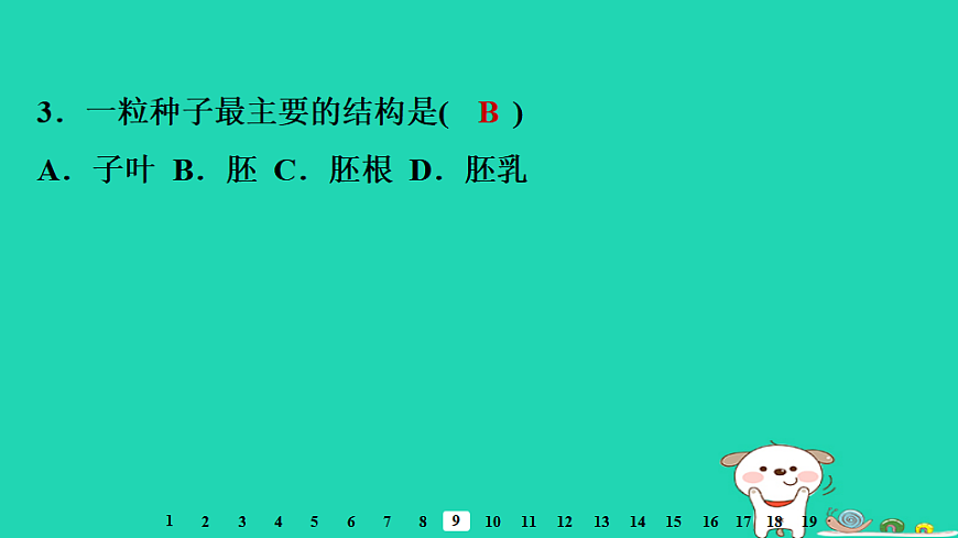2025八年级生物上册第五单元第一章第一节种子的萌发一种子的结构习题课件冀少版（含答案）第5页